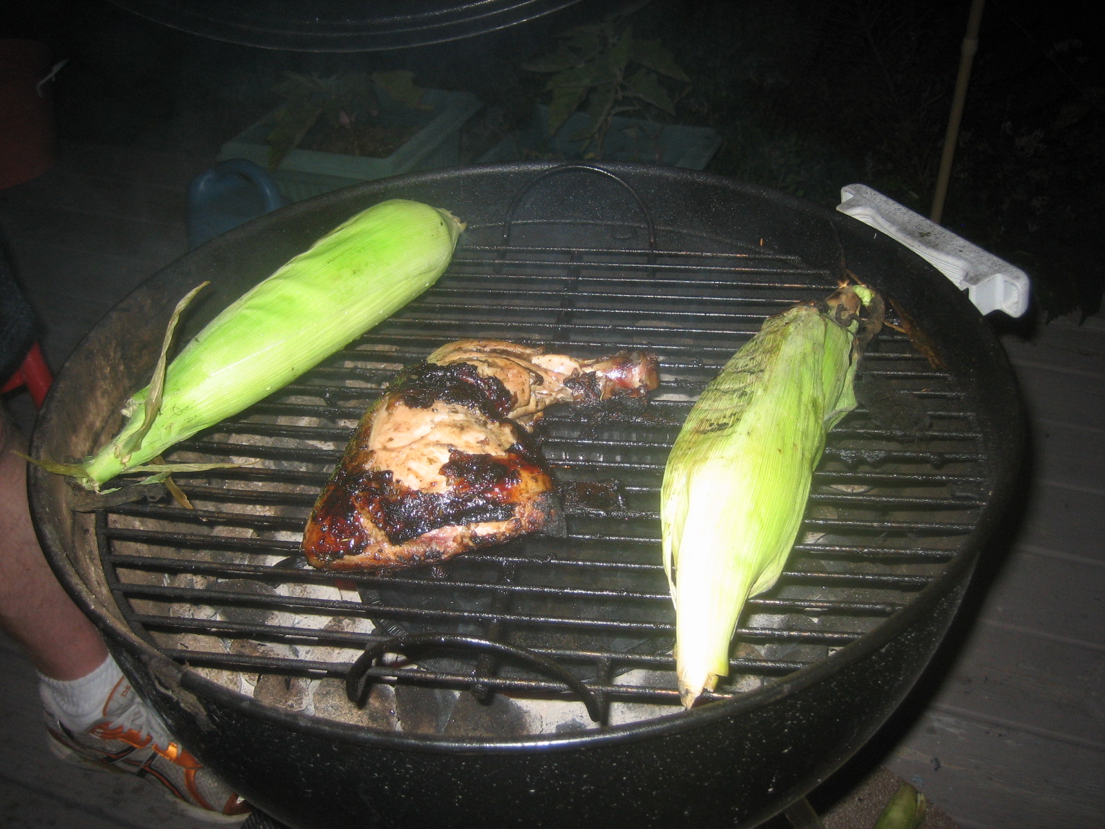 Squirt Chicken 014