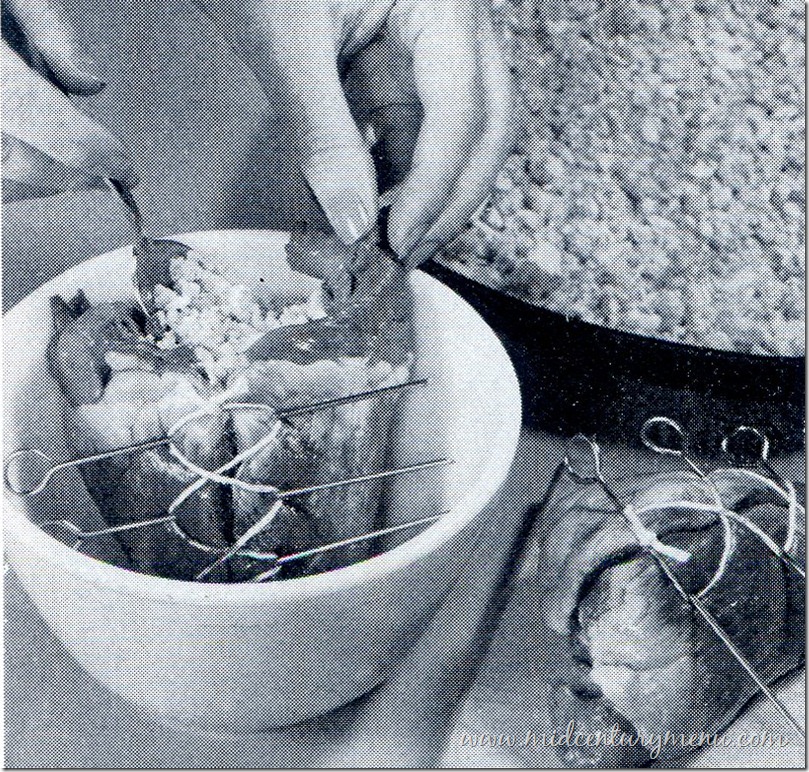 Stuffed Beef Heart001