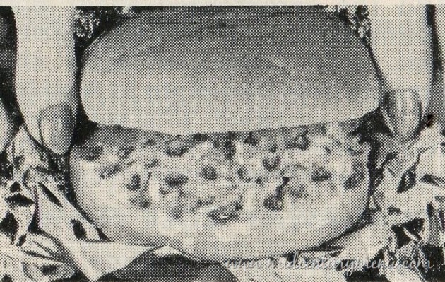 Fun-On-A-Bun001.jpg