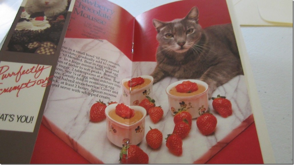 Purrfectly Scrumptious II