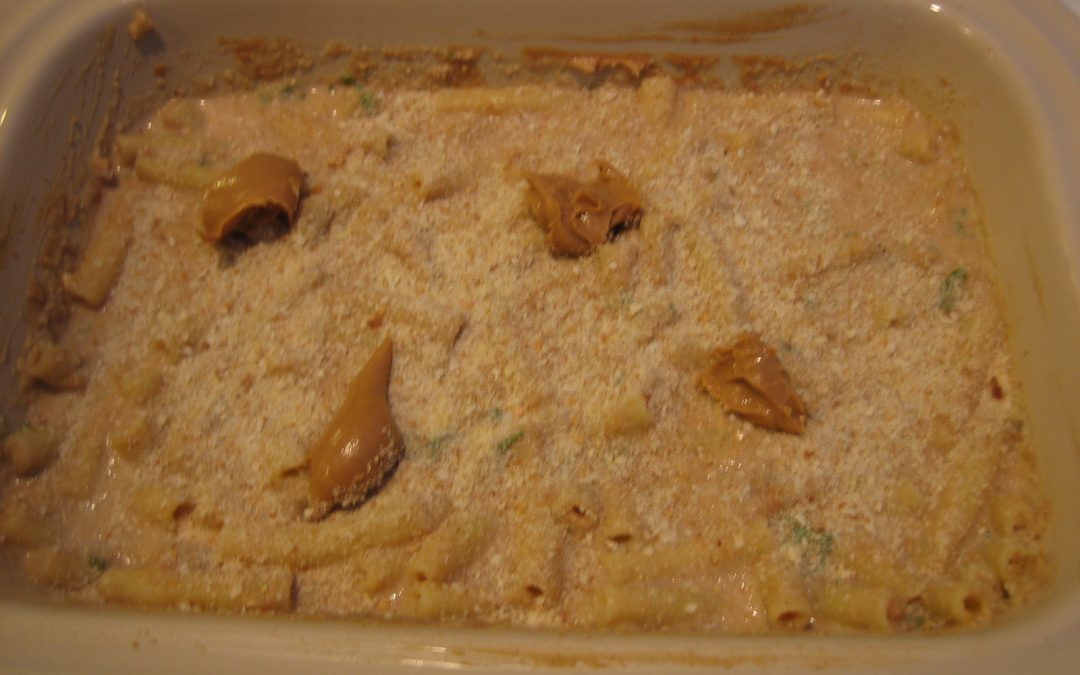 Egg Noodle Pudding and Macaroni With Peanut Butter